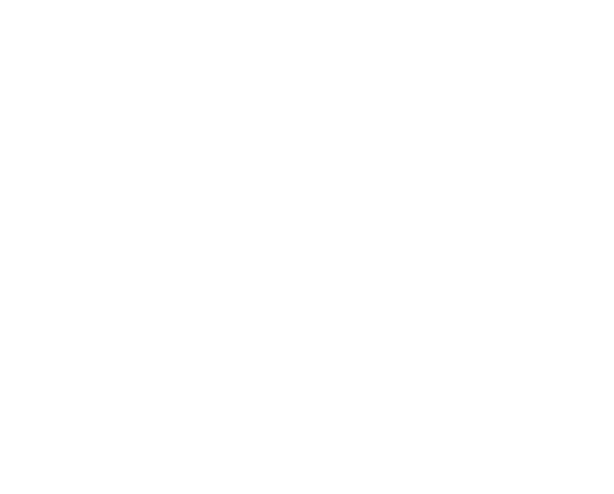 IPP DUAL Passenger Protection