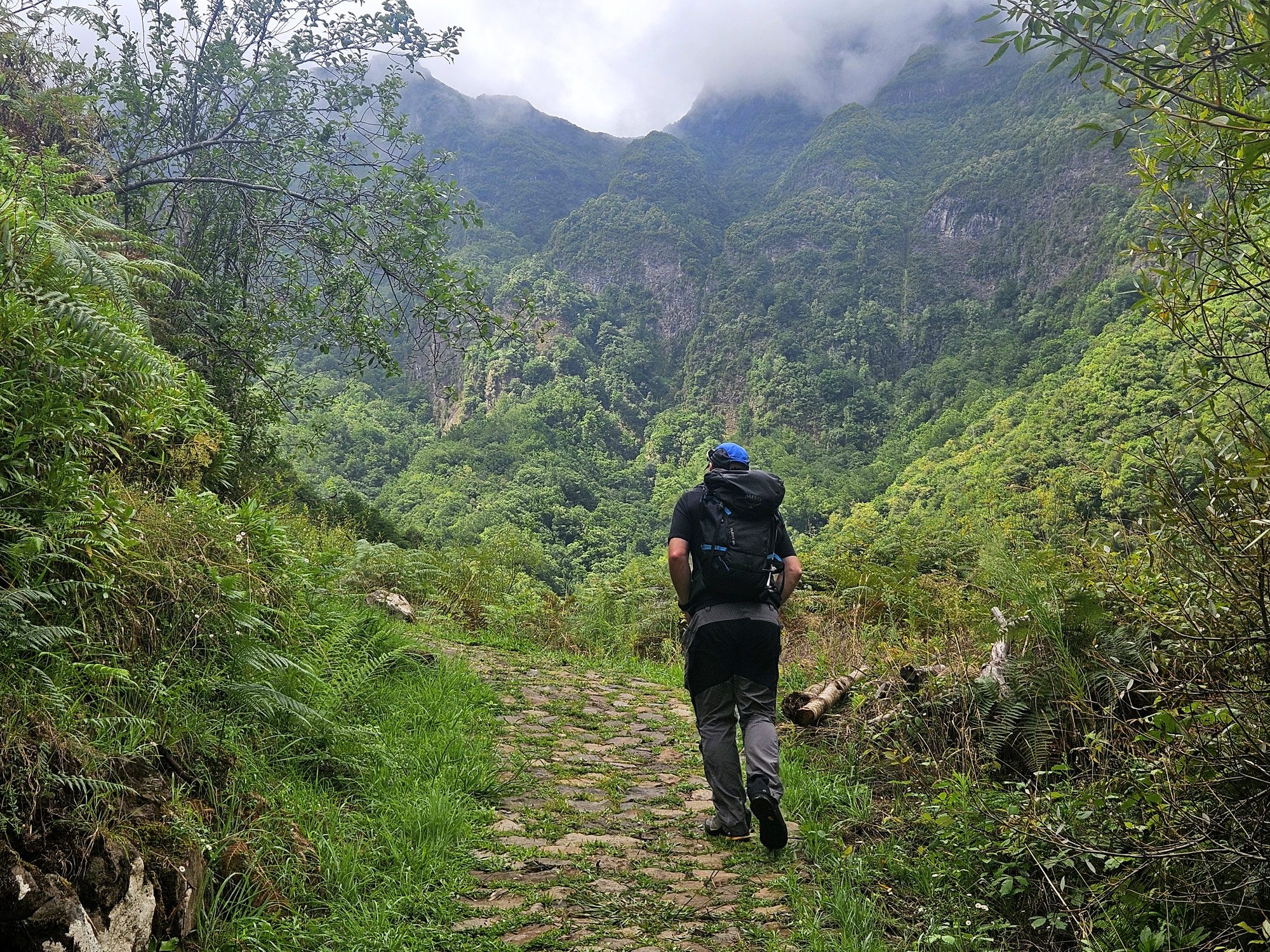 Madeira Levada Trek
