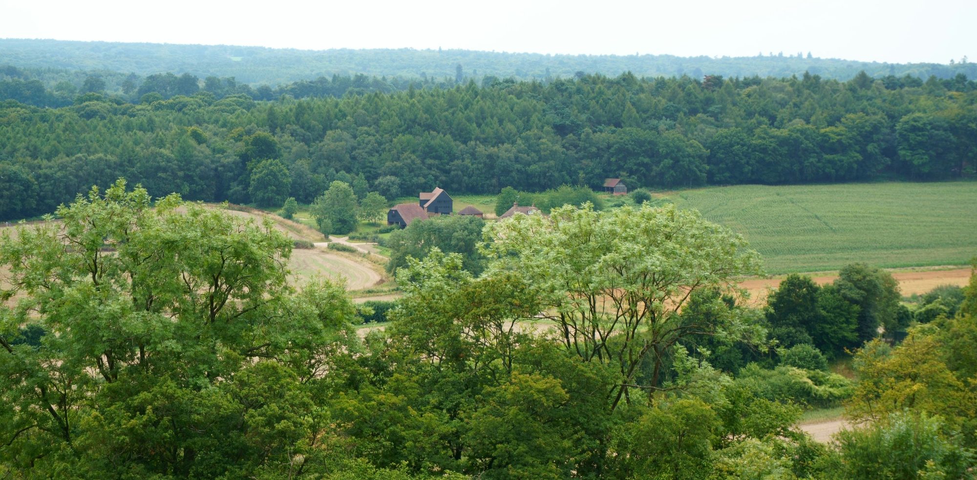 Surrey Hills 3 Peaks